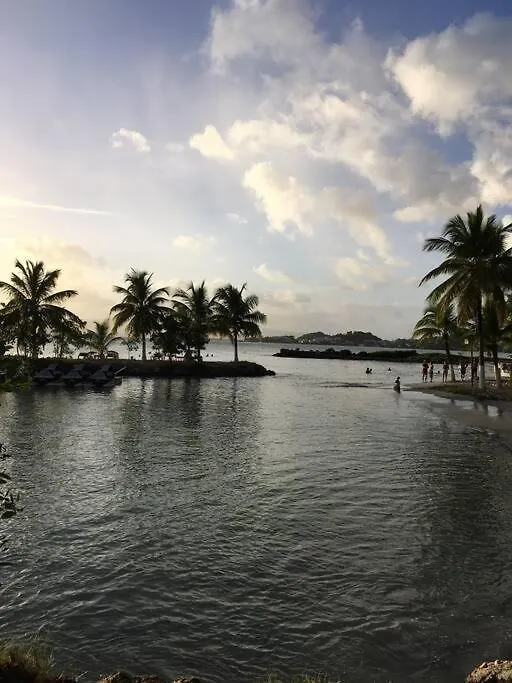 Blue Lagoon Appart En Residence Acces Plage Le Gosier Guadeloupe